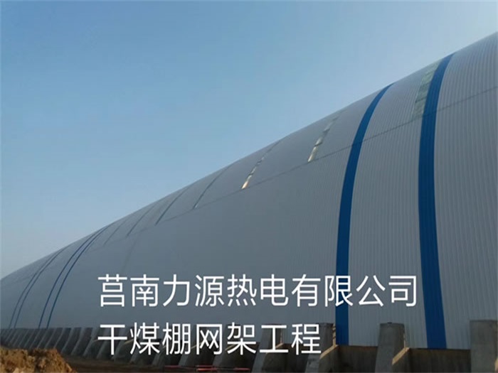 嘉定力源热电有限公司干煤棚网架工程
