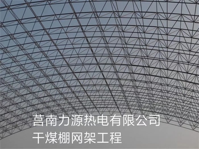 嘉定力源热电有限公司干煤棚网架工程
